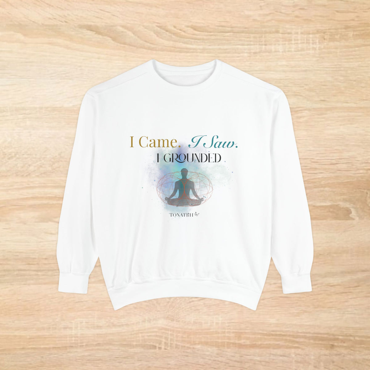 Men's Sweatshirt — "I Came. I Saw. I Grounded." Relax sweatshirt