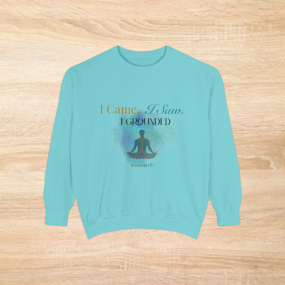 Men's Sweatshirt — "I Came. I Saw. I Grounded." Relax sweatshirt