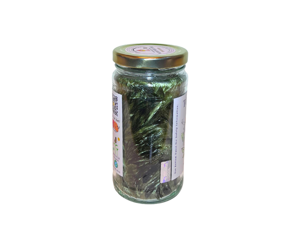 Light Heart -Coconut Palm Wax -Green (12oz)