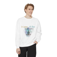 Men's Sweatshirt — "I Came. I Saw. I Grounded." Relax sweatshirt