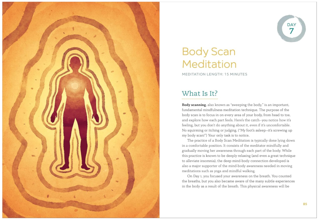 Practical Meditation for Beginners: 10 Days to a Happier, Calmer You